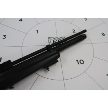 Hatsan AT44S-10 